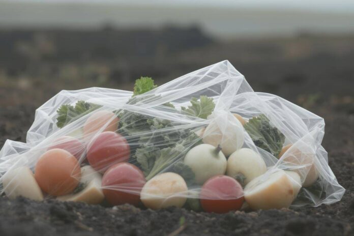 Plastic in our vegetables: how to get rid of it to protect our health