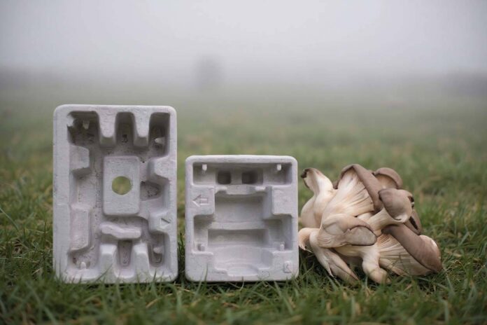 Mycelium packaging decomposes naturally within weeks to months under composting conditions, significantly faster than traditional plastics that take centuries (Source: Digicomply