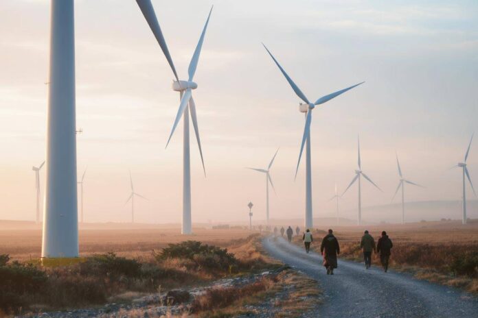 Carbon Offsets: A Critical Look at Efficacy and Integrity in Climate Action