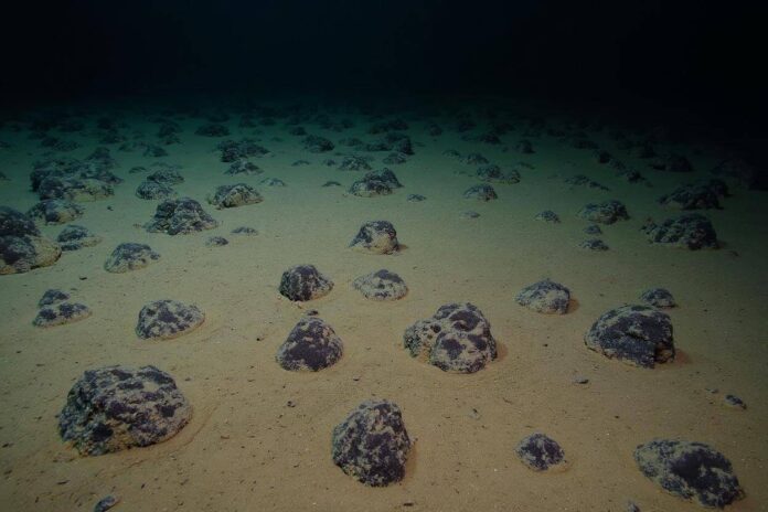 Deep-Sea Mining in the Clarion-Clipperton Zone: A Sustainable Future or Ecological Hazard ?