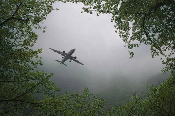 Exploring the Efficacy of Corporate Carbon Offsets: Climate Solution or Environmental Paradox?