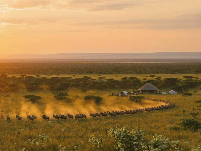 Protected Areas and Ecological Corridors in Africa: Biodiversity Conservation in 2025